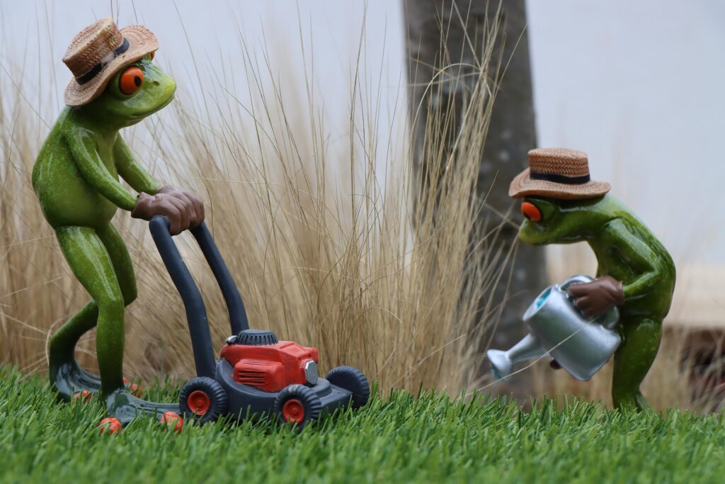 Lawn Treatment in Saskatoon